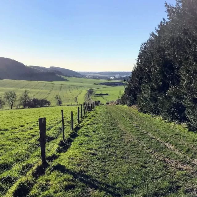 Julia B - Chichester